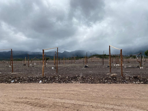 Imagen 2 de 5 de Venta De Terreno A Un Costado De Tianguis De Ganado