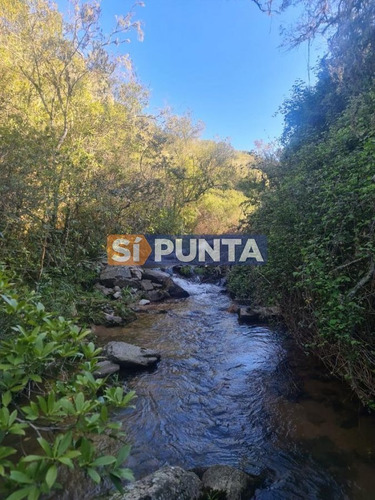 Imagen 12 de 22 de Fraccionamiento Zona: Ruta 109 Arroyo Valdivias