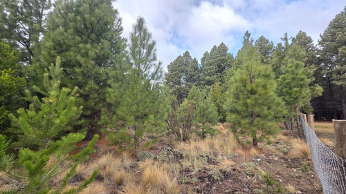 Lote En Bariloche Barrio Cerrado Dos Valles