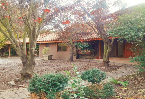 Lo Pinto, Estupenda Casa 280 M2, 4 Piezas Más Serv