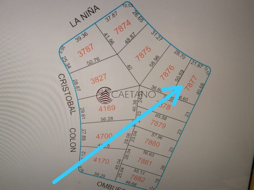 Imagen 1 de 2 de Terreno En Venta - Punta Del Este Marly