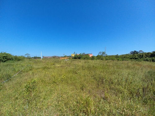 Imagem 4 de 4 de Terreno Perto Da Rodovia Com 284m² Seco E Plano 9527