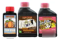 Comprar Combo Top Crop Top Bud 100ml + Deeper 250ml + Bloom 250ml