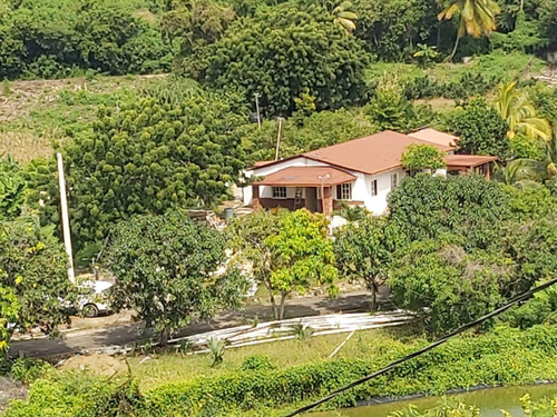 Finca De 430 Tareas Con Limones, Mina De Grava, Lagos