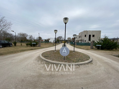 Imagen 7 de 14 de Venta Lote 176 E/ 48 Y 49 - Villa El Tala Berisso @vivanipro