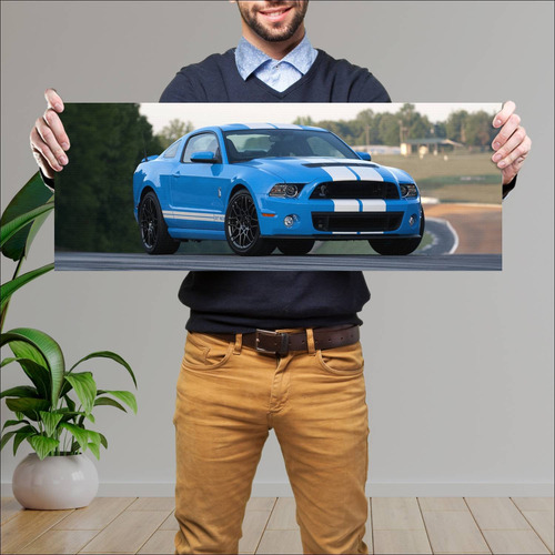 Cuadro 30x80cm Auto 2012 Shelby Gt500 Svt 6781 62