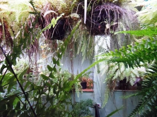 Imagem 18 de 20 de Casa A Venda Na Vila São José - 10549