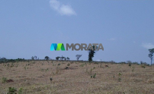 Imagem 8 de 15 de Fazenda - Zona Rural - Ref: 4350 - V-mta4350
