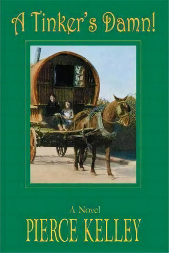 A Tinker's Damn!, De Pierce Kelley. Editorial Iuniverse, Tapa Blanda En Inglés