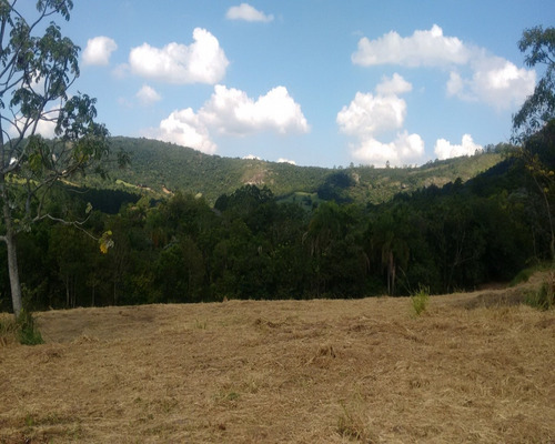 Chácara 5.000 M² - Lomba Grande - Novo Hamburgo - Rs - 1440 - 32419961