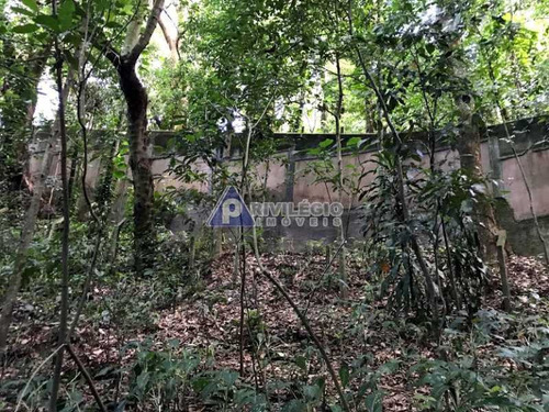 Imagem 10 de 17 de Terreno No Cosme Velho - 12131