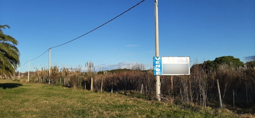 Imagen 3 de 13 de Se Vende Fracción De Campo Ruta 102 Y Melilla