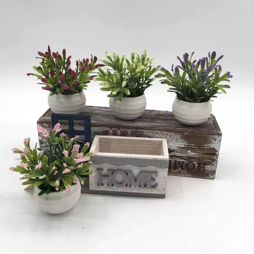 Plantas Suculentas Decorativa Mini En Maceta X 6