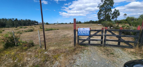 Venta Terreno-sitio  Sector Rulo En Calbuco