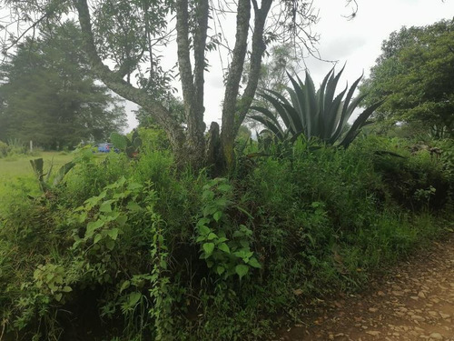 Imagen 9 de 12 de Terreno En Venta Santo Tomás Allende