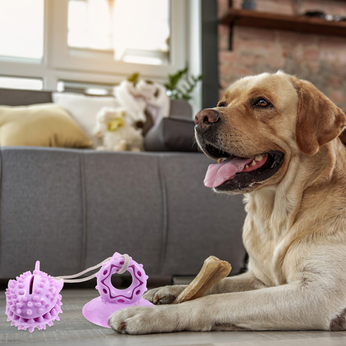 Juguete Masticador Agresivo Para Perros