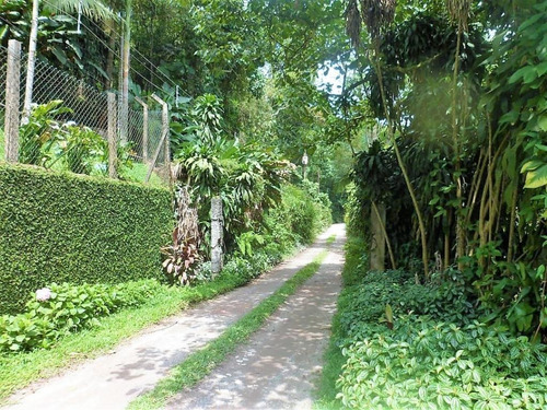 Chácara Com 4 Dormitórios À Venda, 2500 M² - Parque Botujuru - São Bernardo Do Campo/sp - Ch0525