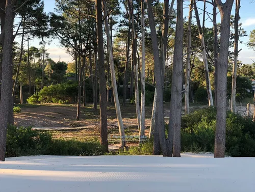 Magnifico Terreno Sobre La Playa De El Pinar