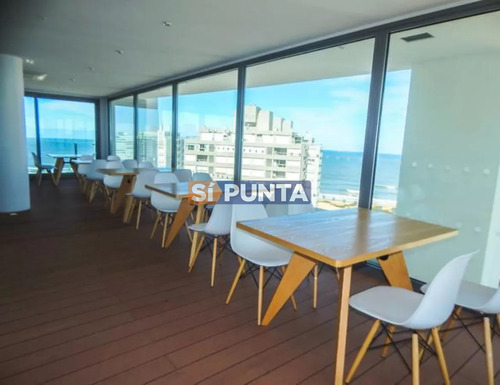 Torre De Alta Gama. Atardeceres Únicos Con Amenities Exclusivos.