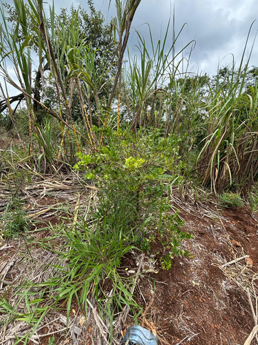 Terreno 750 M2 Com Poço A Venda No Recanto Maravilha
