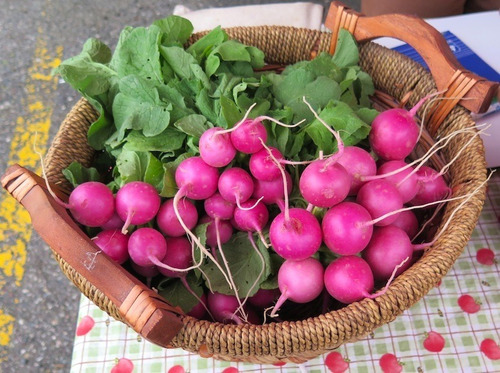 20 Semillas De Rabanito Rosa --radish Pink Beauty !!!