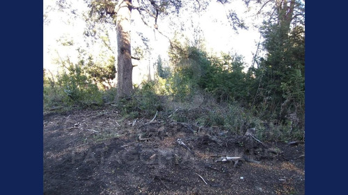 Imagen 3 de 9 de Venta Lote/terreno Calle 25 S/n 803m2, Faldeo Del Bayo, Villa La Angostura Con Ventaja Constructiva