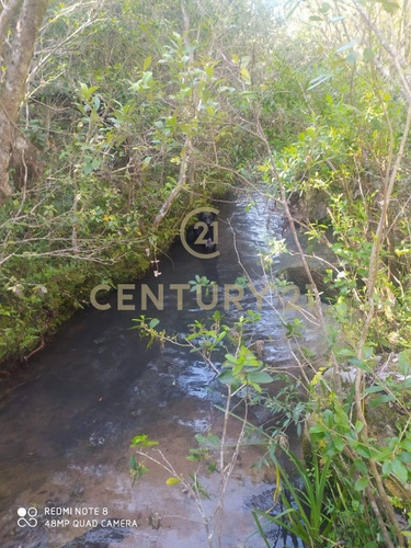 Imagen 9 de 19 de Se Vende Muy Lindo Campo Con Cañada !!