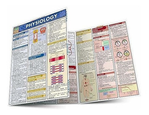 Physiology (quick Study Academic) - Barcharts, Inc., De Barcharts, I. Editorial Quickstudy En Inglés