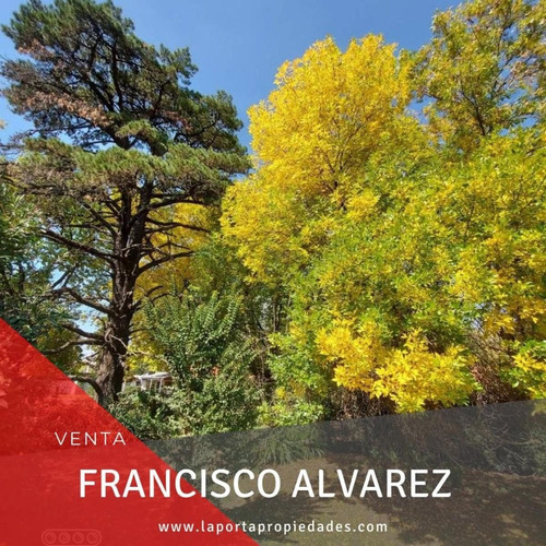 Imagen 4 de 5 de Lotes En Venta En Francisco Alvarez