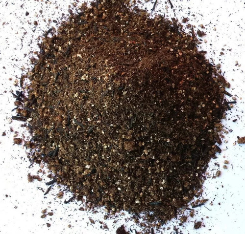 Carolina Soil 45l - Substrato Premium Para Plantas Ornamenta