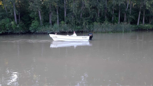 Imagen 3 de 8 de Lancha Trakker 530 Mercury 50 Hp Power Trin Trayler