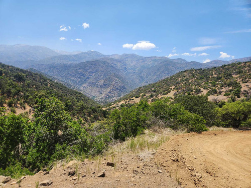Santuario De La Naturaleza (100786)