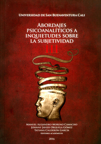 Abordajes Psicoanalíticos A Inquietudes Sobre La Subjetivida