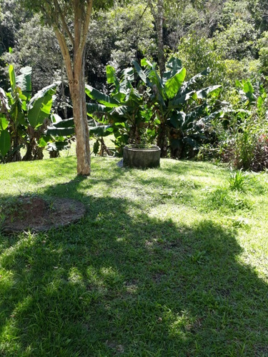 Imagem 11 de 30 de Chacara - 411 - 69484334