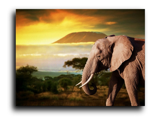 Cuadro Decorativo Canvas  Comedor 100x140 Elefante Sol