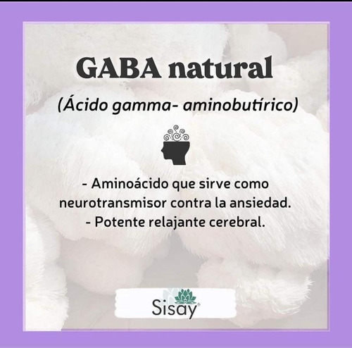 Melena De León Y Ganoderma, Sisay