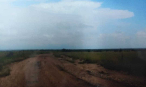 Imagen 8 de 8 de Tierras Para Engorde De Ganado En Guarico