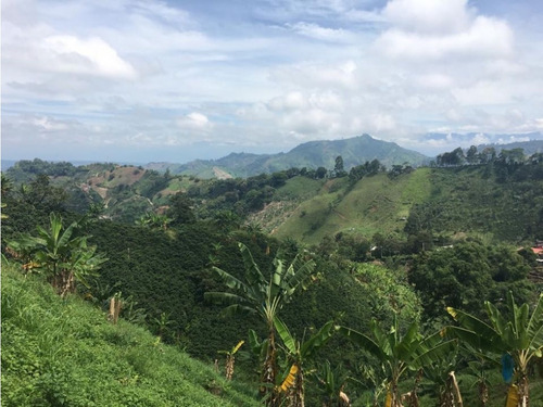 Vendo Finca Con Excelente Terreno Para Siembra