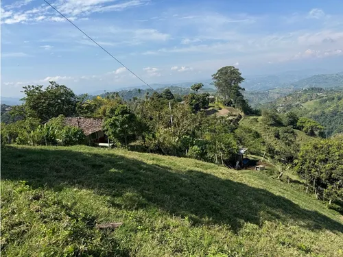 Lote En Venta En Vereda La Aurora Manizales | Venta Terreno