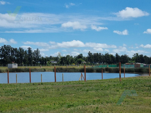 Imagen 7 de 22 de Lote A La Laguna - Santa Ana
