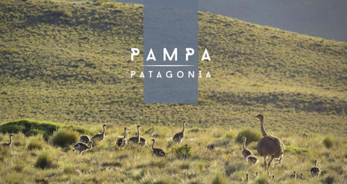 Parcela En Loteo Pampa Patagonia