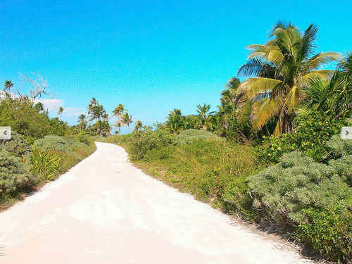 Imagen 6 de 6 de Terreno Frente Al Mar A La Venta En Mahahual