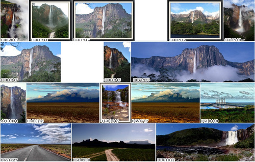 Gigantografias Fotomurales Vinilos Decorativos Venezuela