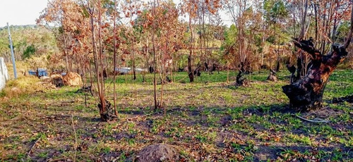Imagem 1 de 15 de Terreno A Venda No Bairro Loteamento Colinas Verdes - Atibaia, Sp - 328
