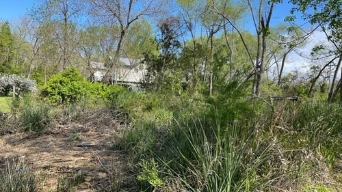 Imagen 3 de 6 de Lote En Canal Del Este - Islas Del Delta - Tigre