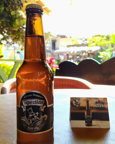 Cerveza Artesanal Tepotzlan Pale Ale 355ml Botella