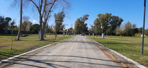 Imagen 3 de 5 de Excelente Lote La Trinidad