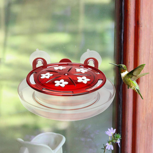 Para Colibríes De Ventana Para Colibríes P