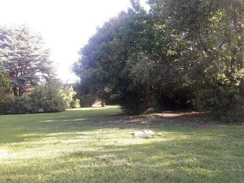 Casa - Lobos