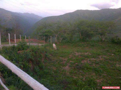 Imagen 5 de 5 de Terrenos En Venta